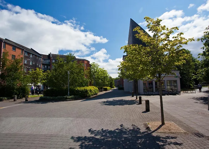 Dromroe Village University Of Limerick