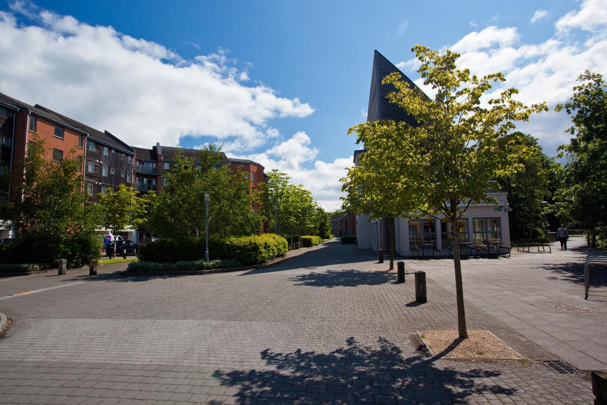 Dromroe Village Of * Limerick